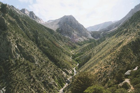Légende de la photo