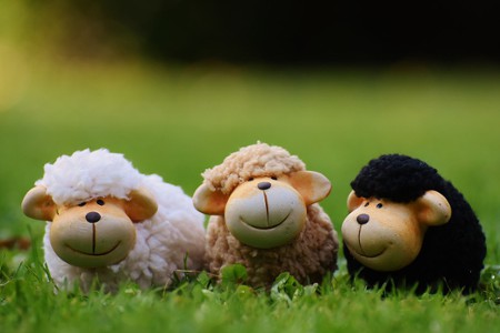 3 peluches mouton